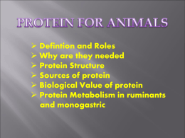 Protein /amino acids deficiency causes