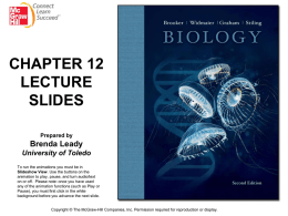CHAPTER 12 LECTURE SLIDES Prepared by Brenda Leady