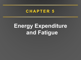 Chapter 5. Energy Expenditure and Fatigue