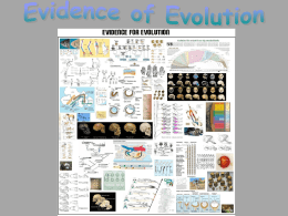 evidence for evolution notes