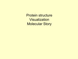 d) Structural Proteins