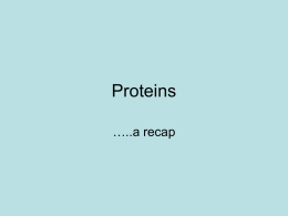 Proteins - HRSBSTAFF Home Page