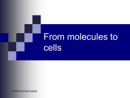 Molecules_to_cells_Water NH