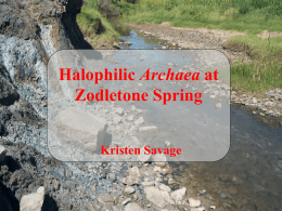 Conference16 - Zodletone Spring