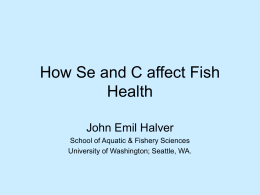 How Se and C affect fish health