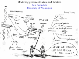 Modelling genome structure and function