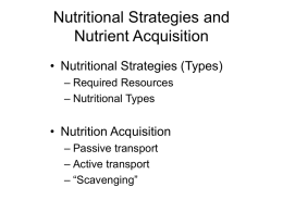 Nutritional Strategies and Nutrient Acquisition