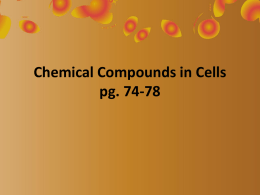 Chemical Compounds in Cells pg. 74-78