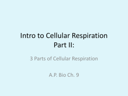 Intro to Cellular Respiration Part II