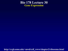 Biol 178 Lecture 30