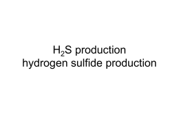 Lab Hydrogen Sulfide Production