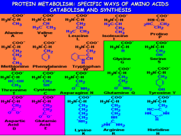 Chapter 17 - Amino Acid Metabolism