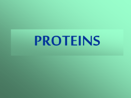 Proteins - Biology Junction