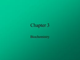 biochem notes