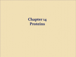 Chapter 14-proteins