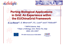 Porting Biological Application in GRID. An Experience within the