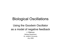 Biological Oscillations