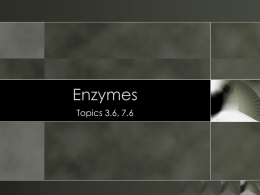 Enzymes - Images