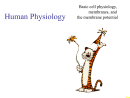 Intro-Cell-Physiology
