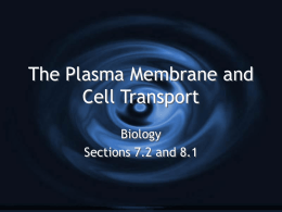 The Plasma Membrane and Cell Transport
