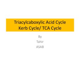Triacylcaboxylic Acid Cycle 2012 - Lectures For UG-5
