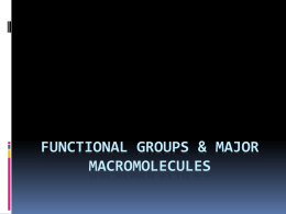 Functional Groups and Macromolecules