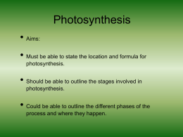 Photosynthesis - manorlakesscience