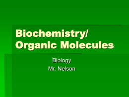 Biology Organic Molecules Notes