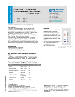 ColorCode™ Prestained Protein Marker (Bis-Tris Gel)