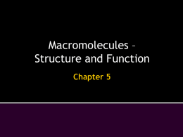 the_structure_and_function_of_macromolecules