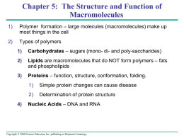 Chapter 4 - Large Bio Molecules
