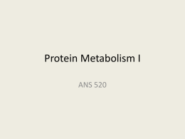2010 Protein Metabolism I