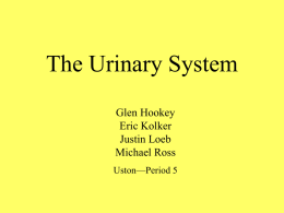 urinary.prez