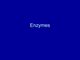 Enzymes - myndrs.com