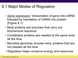 2/17/12 Gene regulation