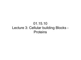 Lecture 3: Cellular Building Blocks
