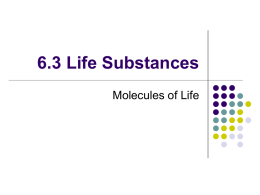 6.3 Life Substances