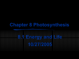 PowerPoint Presentation - Chapter 8 Photosynthesis