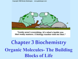 Ch 3 Biochemistry Notes