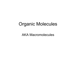 Organic Molecule