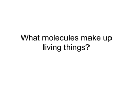 What molecules make up living things