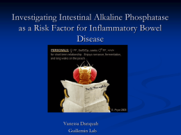 What is Inflammatory Bowel Disease