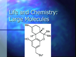 Macromolecules: Their Chemistry and Biology