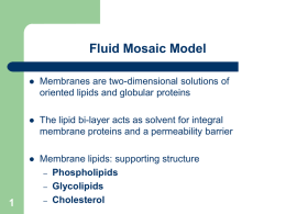 Transport Across Cell Membrane - Bioenergetics and Cell Metabolism