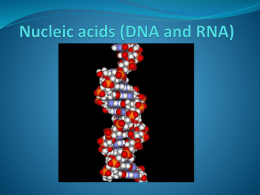 02 DNA and RNA and protein synthesis