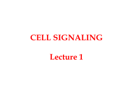 CELL SIGNALLING