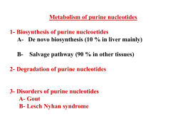 lec 7 Metabolism of purine nucleotides