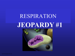 respiration jeopardy game!