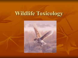 Wildlife Toxicology - Arkansas State University