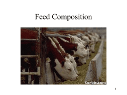 Basics of Feed Composition
